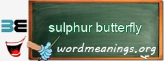 WordMeaning blackboard for sulphur butterfly